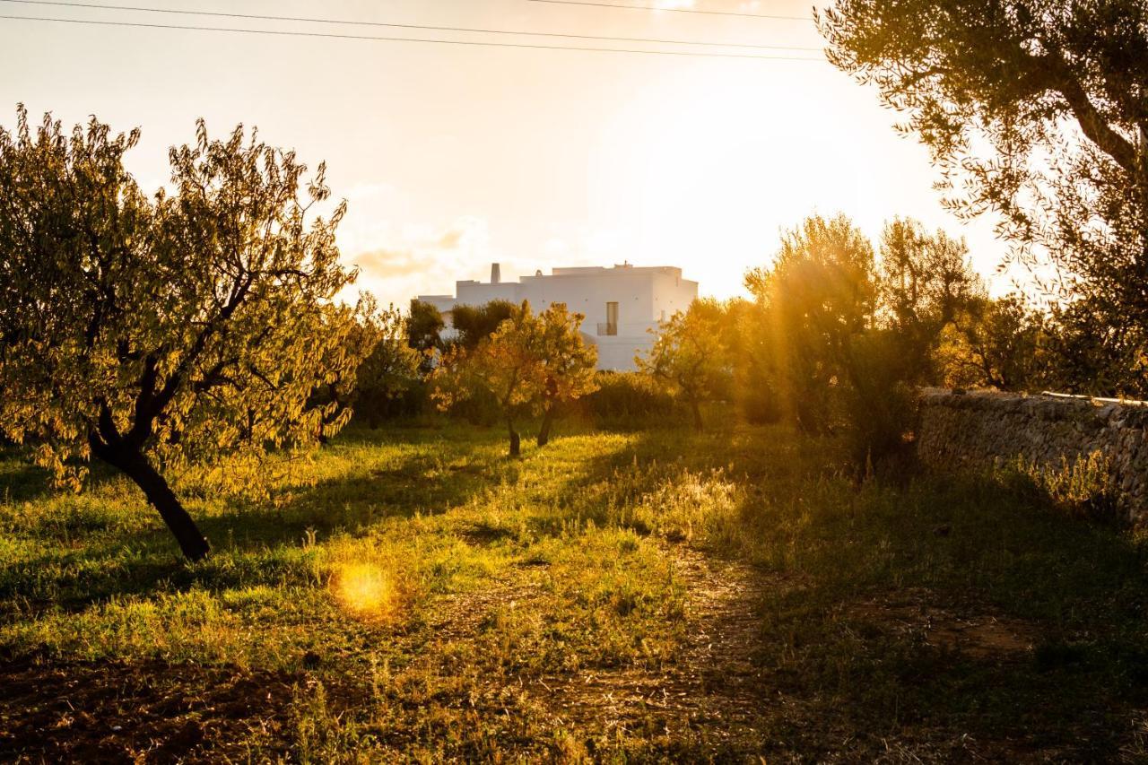 Masseria D'Erchia 莫诺波利 外观 照片