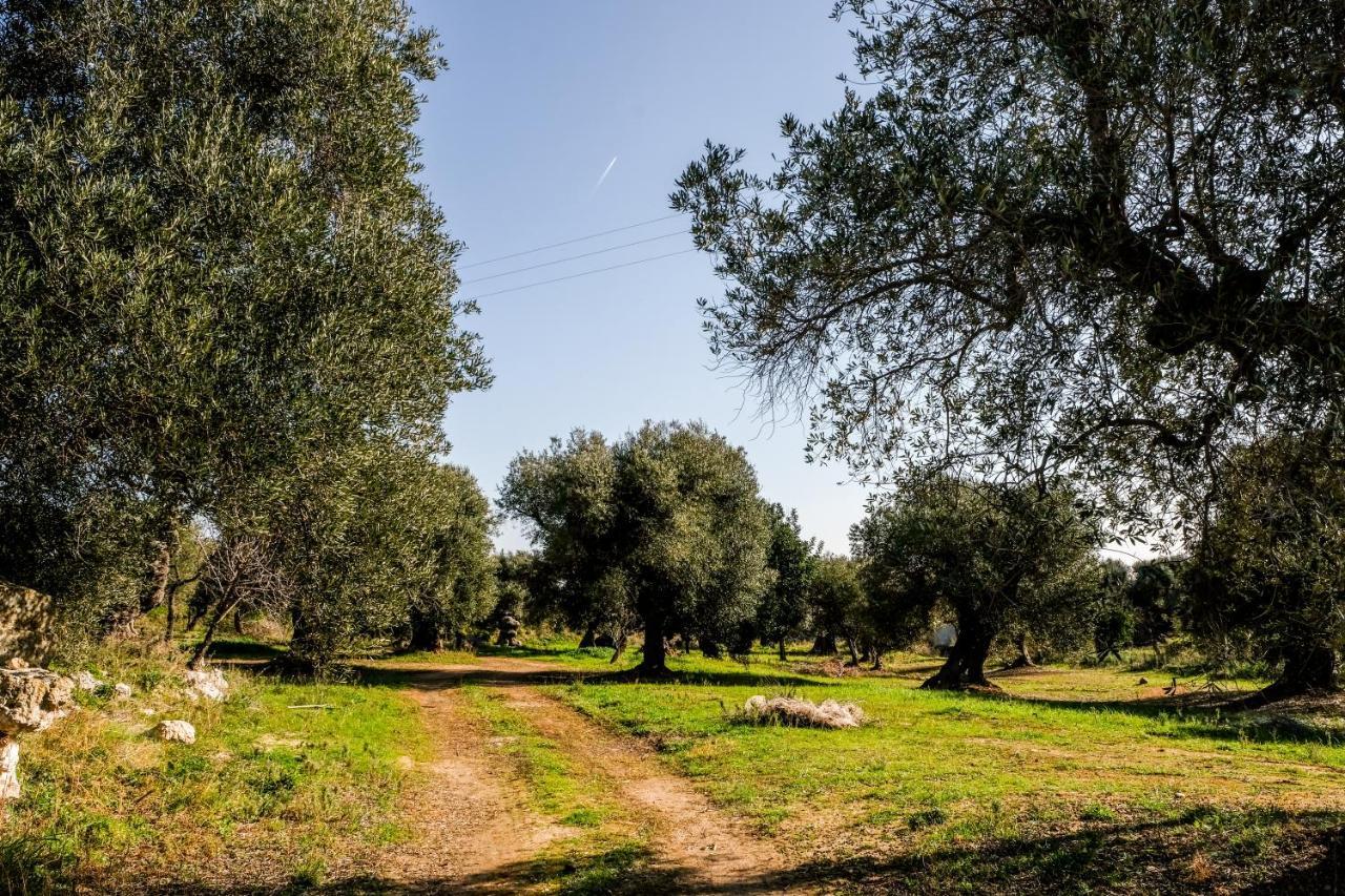 Masseria D'Erchia 莫诺波利 外观 照片